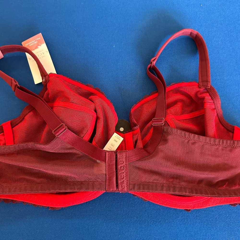 Brand new with tags Cacique Lane Bryant modern unlined full coverage 42C bra! - Picture 2 of 4